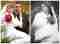 Weddings
