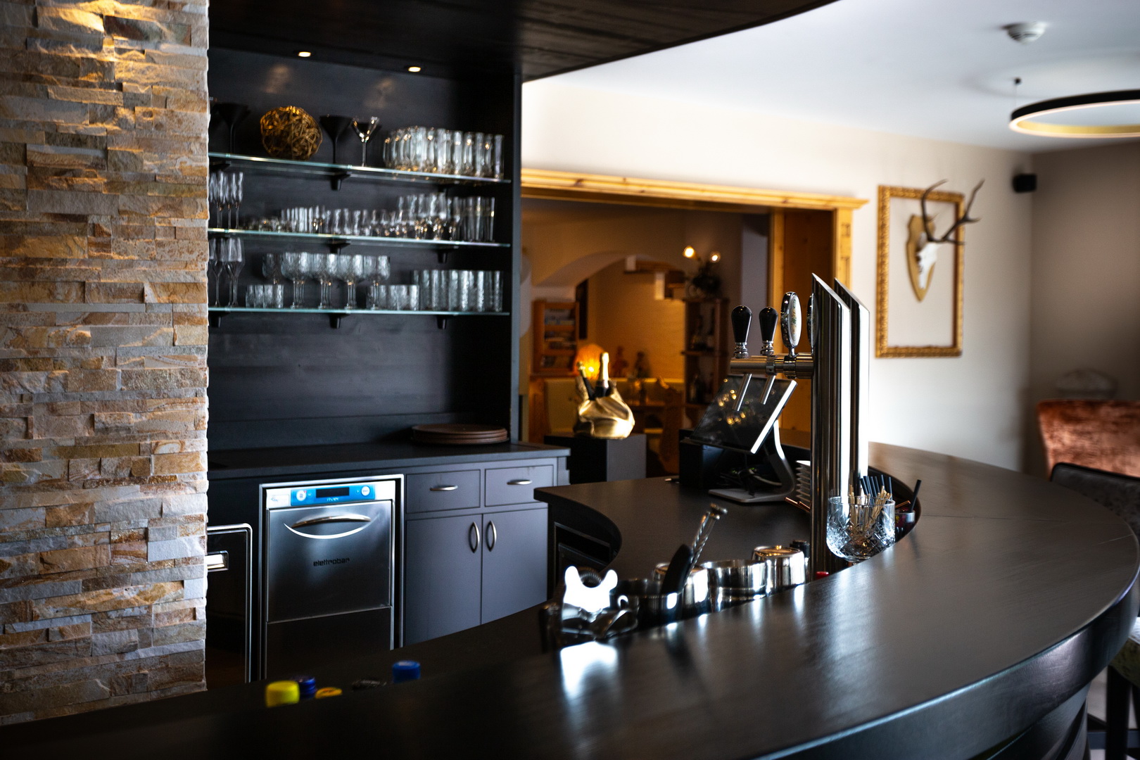 A Glimpse of Elegance – Hotel Fanes Photography